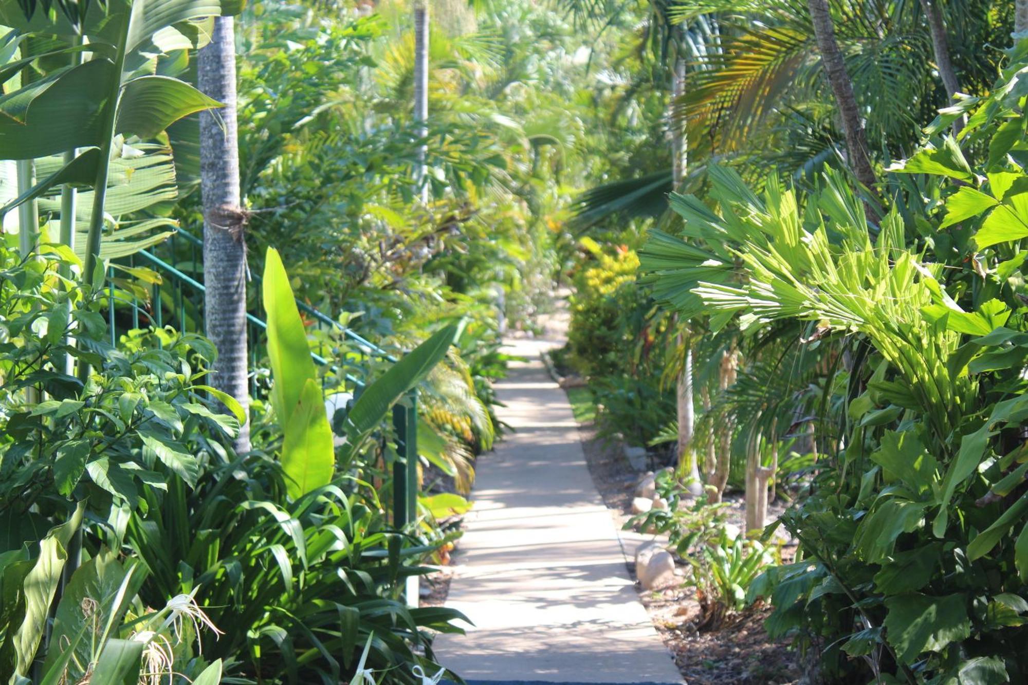 Amaroo On Mandalay, Magnetic Island Hotell Nelly Bay Eksteriør bilde